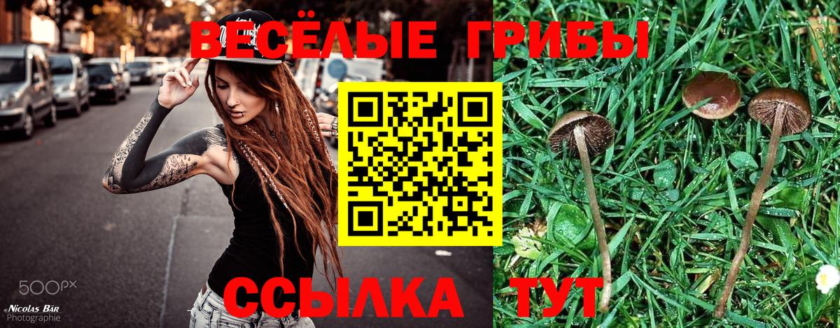 Псилоцибиновые грибы Psilocybine cubensis  Галлюциногенные грибы Cubensis  Краснокаменск  Вход с VPN 