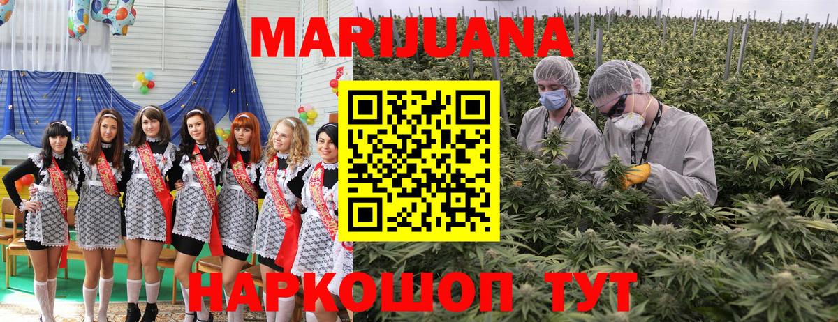 Бошки Шишки планчик  Вход с VPN  Марихуана THC 21%  Бошки Шишки конопля  Краснокаменск 